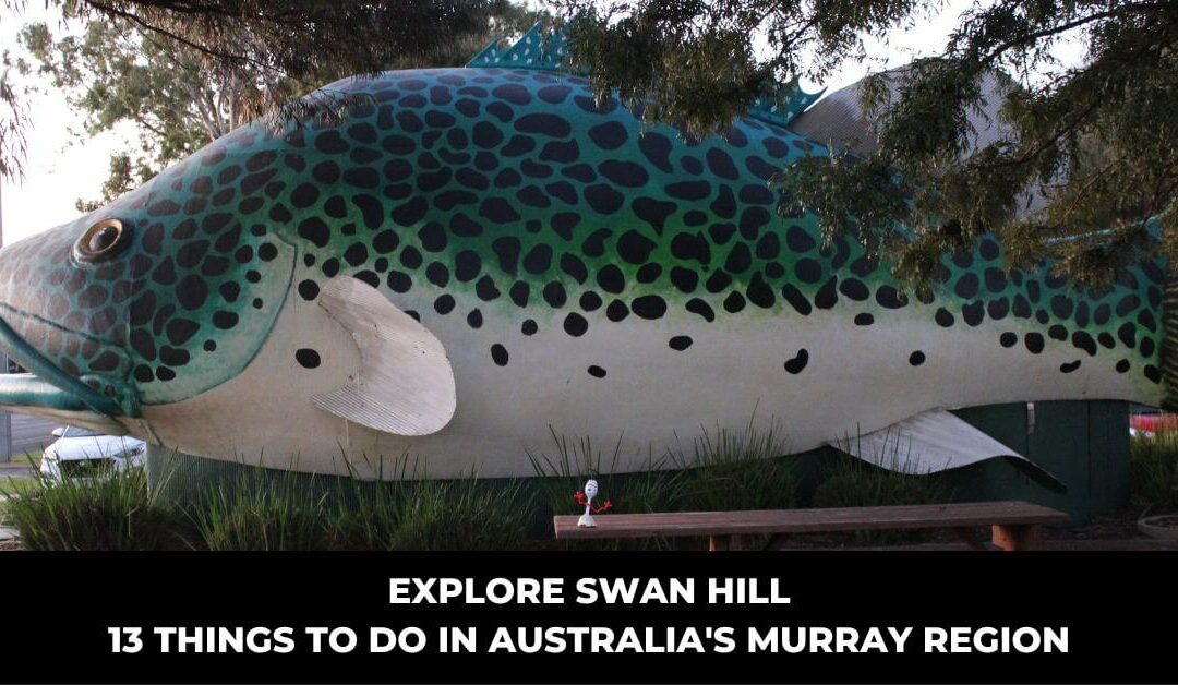 Explore Swan Hill: 13 Things to Do in Australia’s Murray Region