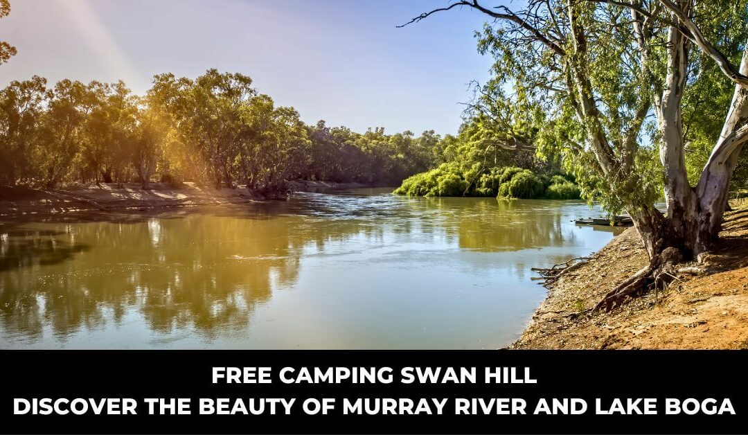 Free Camping Swan Hill – Discover the Beauty of Murray River and Lake Boga