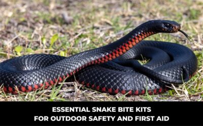 Essential Snake Bite Kits for Outdoor Safety and First Aid